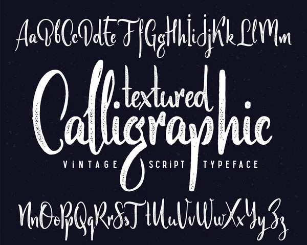 Textured Calligraphic Script Font — Stock Vector