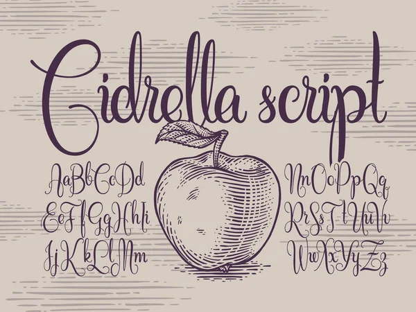 Calligraphic Script Font Cidrella Med Handgjorda Vektor Äpple Illustration — Stock vektor