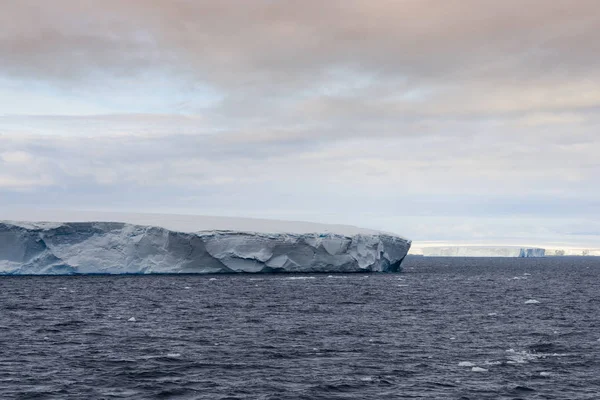 Croisières en Antarctique