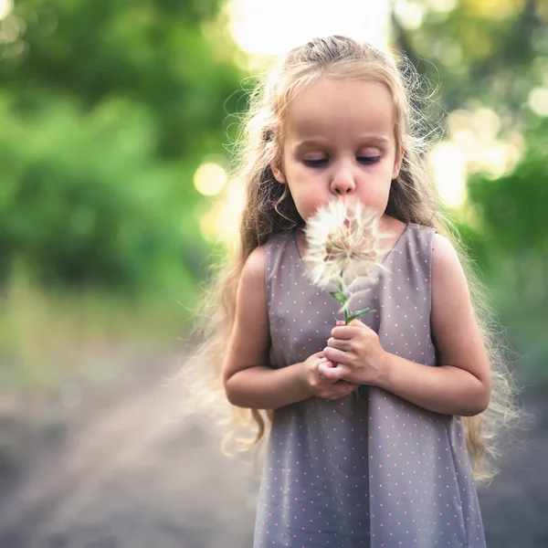 Twoje dziecko trzyma kwiat mniszka w autumntime — Zdjęcie stockowe