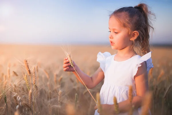 Happy Little Girl odkryty w polu pszenicy. Koniec lata — Zdjęcie stockowe