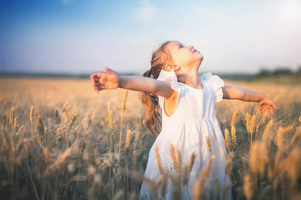 幸せな女の子彼女は麦畑で飛ぶことを想像します。. — ストック写真