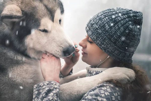 Image of young girl feeding her dog, alaskan malamute, outdoor — Stock Photo, Image