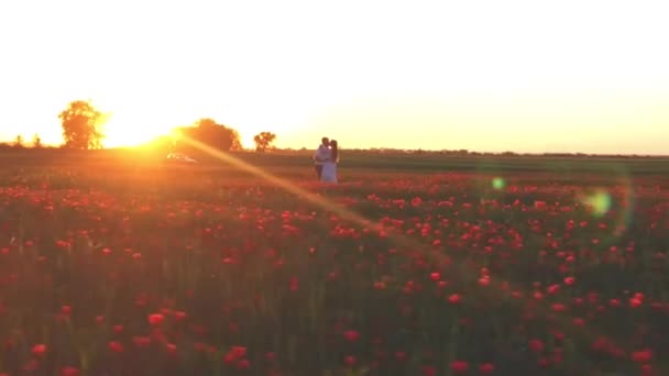 Πρόταση γάμου στο πεδίο των λουλουδιών στο womens ευτυχισμένη ημέρα — Αρχείο Βίντεο