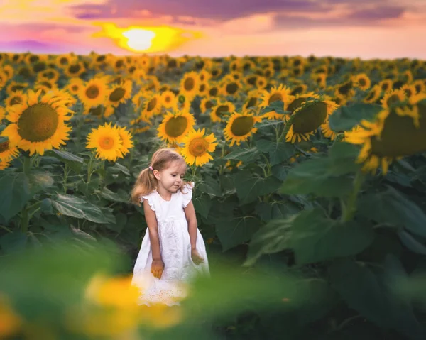 Konzept einer neuen Ära mit glücklichen Kindern, Menschen. am Sonnenblumenfeld lizenzfreie Stockfotos