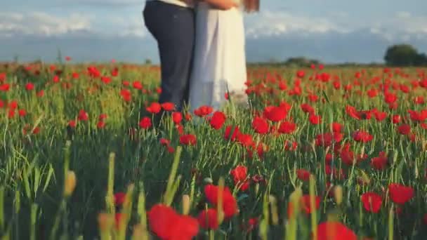 Proposta de casamento no campo de flores no dia de mulheres felizes — Vídeo de Stock