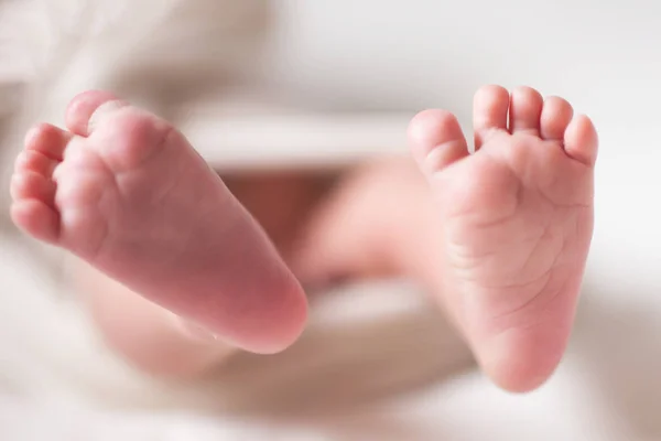 Concepto de recién nacido de cuidado materno. Madre sosteniendo pies de bebé —  Fotos de Stock