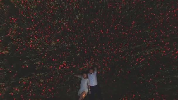 Proposta de casamento no campo de flores no dia de mulheres felizes — Vídeo de Stock