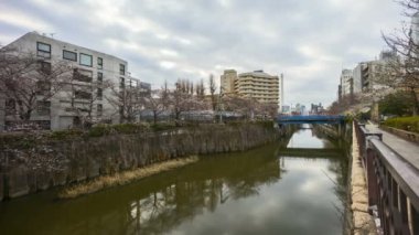 Tokyo, Meguro Nehri Parkı 'nda, erken kiraz çiçekleri sırasında (sakura hanami) 4k süratli bulutlar görüldü. Sakura çiçeğini görmek için en ünlü yerlerden biridir. Sağa çevir