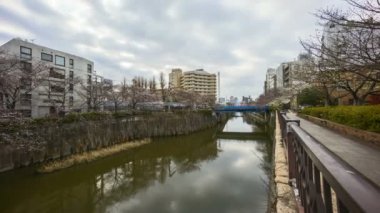 Tokyo, Meguro Nehri Parkı 'nda, erken kiraz çiçekleri sırasında (sakura hanami) 4k süratli bulutlar görüldü. Sakura çiçeğini görmek için en ünlü yerlerden biridir. Yakınlaştır