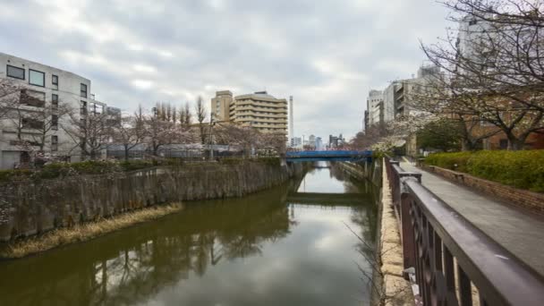 Time Lapse Rolling Clouds Meguro River Park Tokyo Early Cherry — Stock video