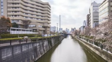 Tokyo, Meguro Nehri Parkı 'nda, erken kiraz çiçekleri sırasında (sakura hanami) 4k süratli bulutlar görüldü. Sakura çiçeğini görmek için en ünlü yerlerden biridir. Sağa çevir