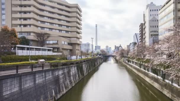 Time Lapse Rolling Clouds Meguro River Park Tokyo Early Cherry — Vídeo de Stock