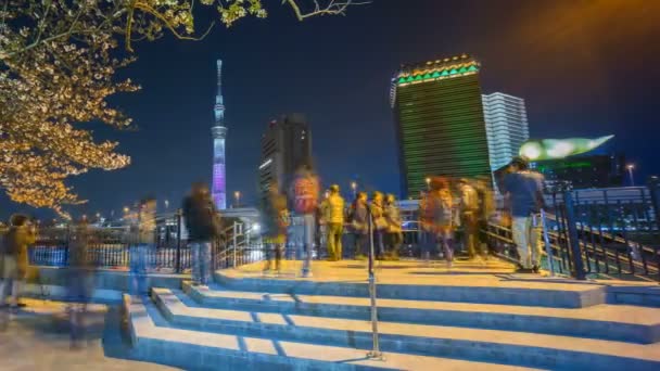 Time Lapse Night Scene Tokyo City Skyline Tokyo Sky Tree — стоковое видео