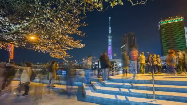Časový Odstup Noční Scény Tokyo City Panorama Tokyo Sky Tree — Stock video