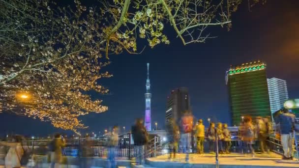 在东京天际线 东京天空树 苏美达河的夜景中 有4K个时差 往下倾斜 — 图库视频影像