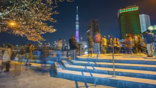 Tokyo City Skyline Tokyo Sky Tree Sumida River Gece Sahnesinin — Stok video