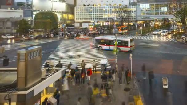 Shibuya Crossing Tokio Jedna Nejrušnějších Silničních Křižovatek Světě Scramble Crosswalk — Stock video