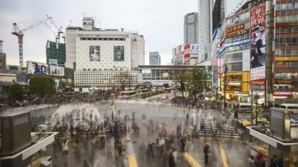 渋谷スクランブル交差点 スクランブル交差点 世界で最も忙しい交差点の1つである東京都渋谷区交差点 日没までの時間経過 — ストック動画