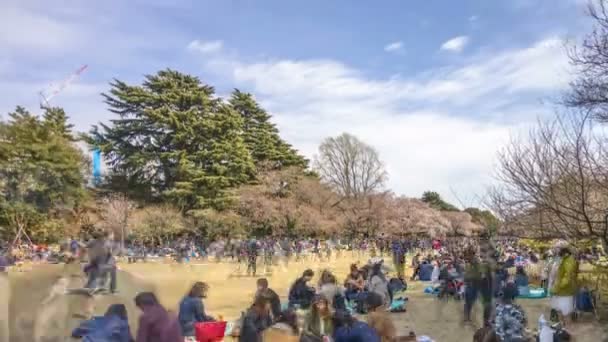 Shinjuku Japan April 2017 Shinjuku Gyoen Nationalpark Während Der Frühen — Stockvideo