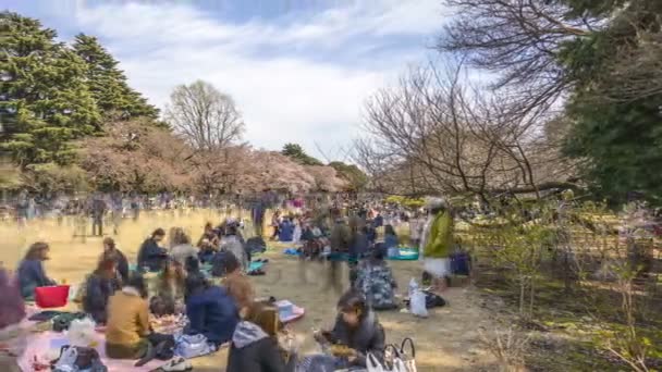 Shinjuku Japonia Kwietnia 2017 Park Narodowy Shinjuku Gyoen Podczas Wczesnego — Wideo stockowe