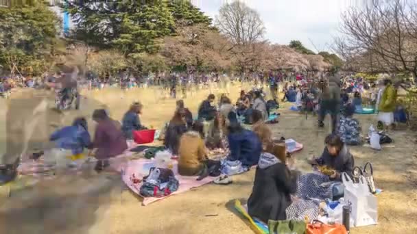 Shinjuku Japonia Kwietnia 2017 Park Narodowy Shinjuku Gyoen Podczas Wczesnego — Wideo stockowe