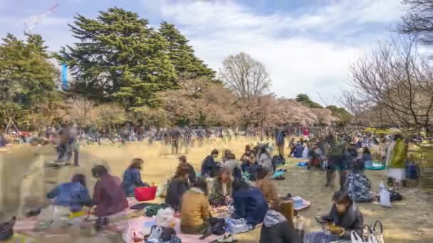 Shinjuku Japan April 2017 Shinjuku Gyoen Nationalpark Während Der Frühen — Stockvideo