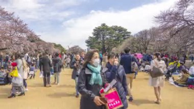 Shinjuku, Japonya - 2 Nisan 2017: Shinjuku Gyoen Milli Parkı (sakura hanami). Sakura çiçeğini görmek için en ünlü yerlerden biridir. Sola çevir