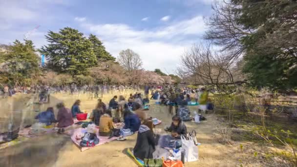 Shinjuku Japón Abril 2017 Shinjuku Gyoen National Park Early Cherry — Vídeo de stock