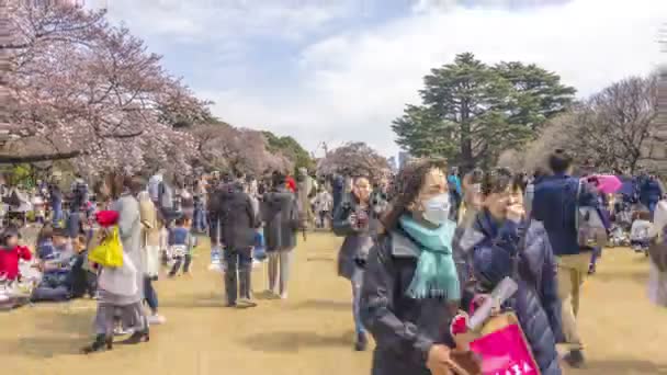 Shinjuku Japan April 2017 Shinjuku Gyoen Nationalpark Während Der Frühen — Stockvideo