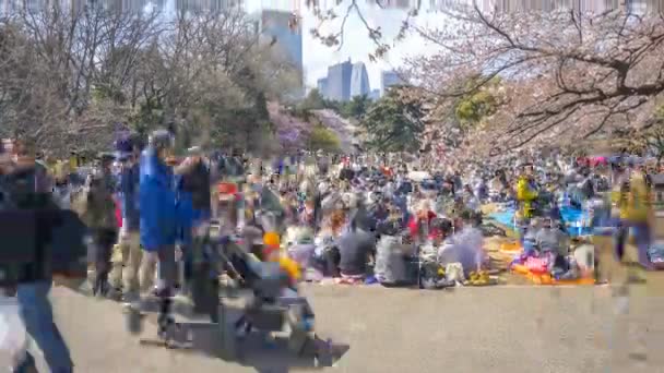 日本新宿 2017年4月2日 早熟樱花时期的新宿国家公园 Shinjku Gyoen National Park 这是最有名的观赏樱花的地方之一 向上倾斜 — 图库视频影像