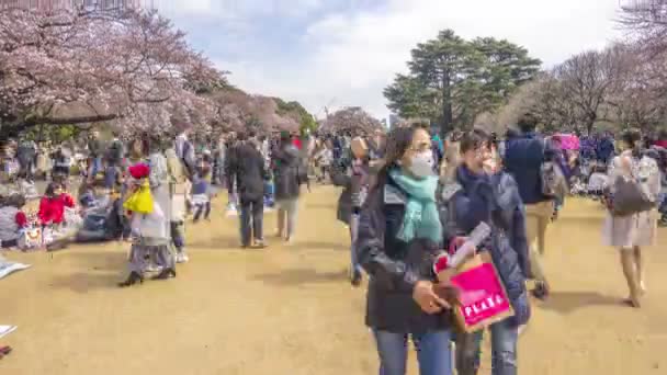 Shinjuku Japan April 2017 Shinjuku Gyoen Nationalpark Während Der Frühen — Stockvideo