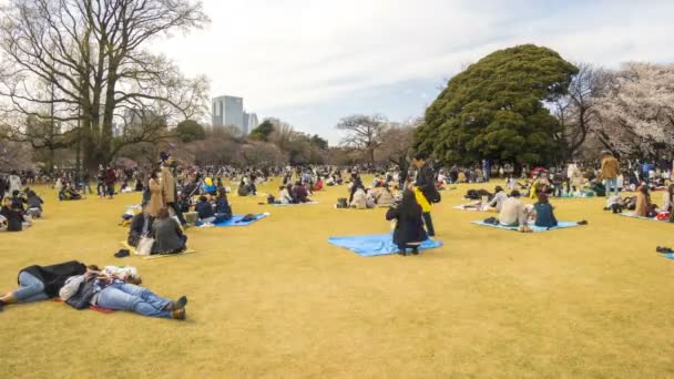 Shinjuku Japan April 2017 Shinjuku Gyoen Nationalpark Während Der Frühen — Stockvideo