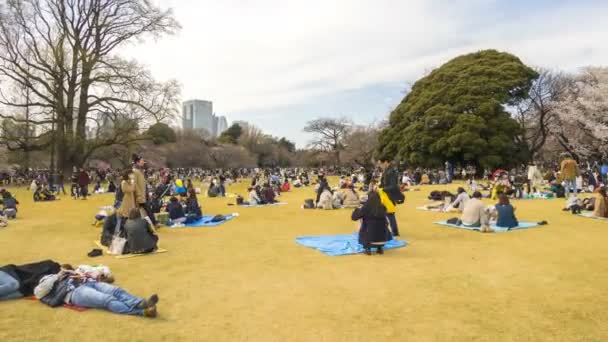 Shinjuku Japonia Kwietnia 2017 Park Narodowy Shinjuku Gyoen Podczas Wczesnego — Wideo stockowe