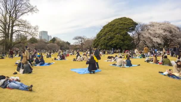 Shinjuku Japan April 2017 Shinjuku Gyoen Nationalpark Während Der Frühen — Stockvideo