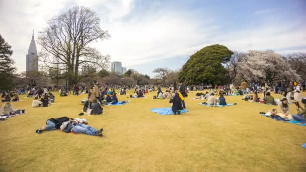 Shinjuku Japonya Nisan 2017 Shinjuku Gyoen Milli Parkı Sakura Hanami — Stok video