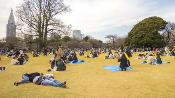 Shinjuku Japonia Kwietnia 2017 Park Narodowy Shinjuku Gyoen Podczas Wczesnego — Wideo stockowe