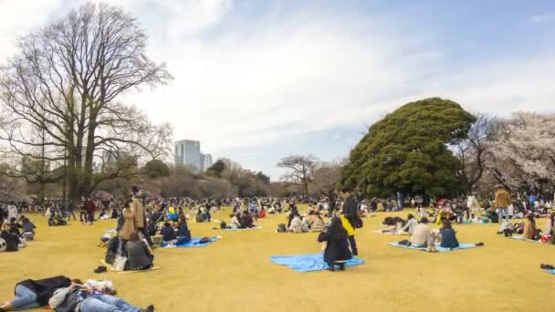 Shinjuku Japan April 2017 Shinjuku Gyoen Nationalpark Tidig Körsbärsblomma Sakura — Stockvideo