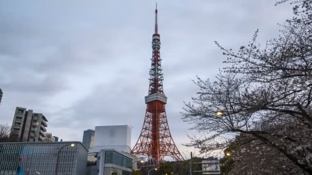 Waktu Selang Mendung Matahari Terbit Tokyo Perbesar — Stok Video