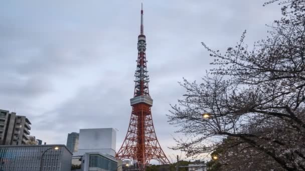 Время Пасмурного Восхода Солнца Токио Пан Слева — стоковое видео