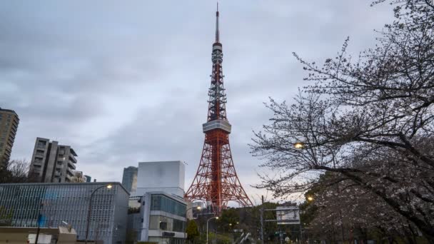 Время Пасмурного Восхода Солнца Токио — стоковое видео