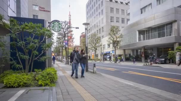 東京都 2017年4月2日 早咲きの桜 の期間中 観光客や地元の人々が芝公園を歩く様子を4KのBロールで撮影しました ズームイン — ストック動画