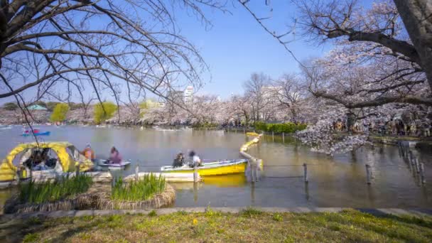 Tokyo Giappone Aprile 2017 Time Lapse Turisti Locali Che Visitano — Video Stock