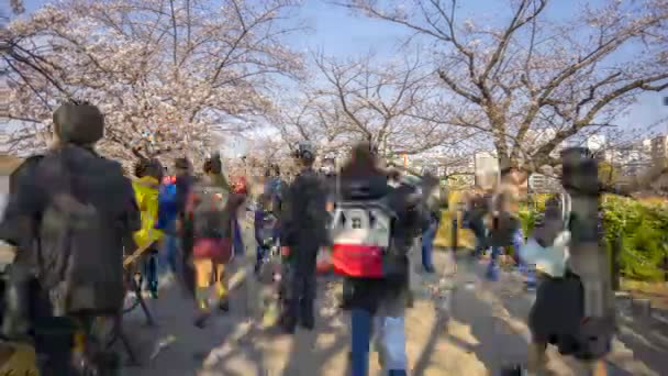 Tokio Japonia Kwietnia 2017 Upływ Czasu Turystów Mieszkańców Odwiedzających Park — Wideo stockowe