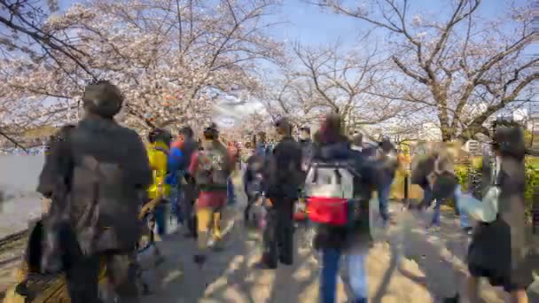 Tokio Japonia Kwietnia 2017 Upływ Czasu Turystów Mieszkańców Odwiedzających Park — Wideo stockowe