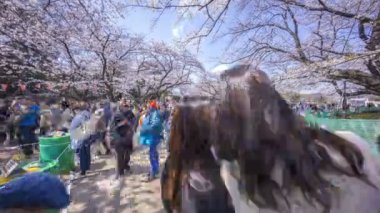 Tokyo, Japonya - 4 Nisan 2017: Turist ve yerel turistlerin erken kiraz çiçekleri (sakura hanami) sırasında Ueno Park 'ı ziyaret etmeleri zaman aşımı. Kiraz çiçeğini görmek için ünlü bir yerdir. Yakınlaştır
