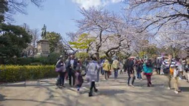 Tokyo, Japonya - 4 Nisan 2017: Turist ve yerel turistlerin erken kiraz çiçekleri (sakura hanami) sırasında Ueno Park 'ı ziyaret etmeleri zaman aşımı. Kiraz çiçeğini görmek için ünlü bir yerdir. Uzaklaştır