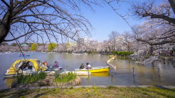 Tokyo Giappone Aprile 2017 Time Lapse Turisti Locali Che Visitano — Video Stock