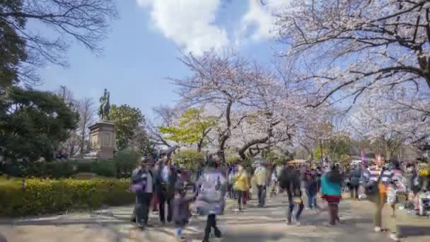日本东京 2017年4月4日 游客和当地游客在樱花盛开期间造访植野公园 Sakura Hanami 这里是观赏樱花的著名地方 往下倾斜 — 图库视频影像