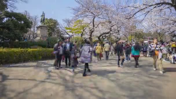 日本东京 2017年4月4日 游客和当地游客在樱花盛开期间造访植野公园 Sakura Hanami 这里是观赏樱花的著名地方 向上倾斜 — 图库视频影像